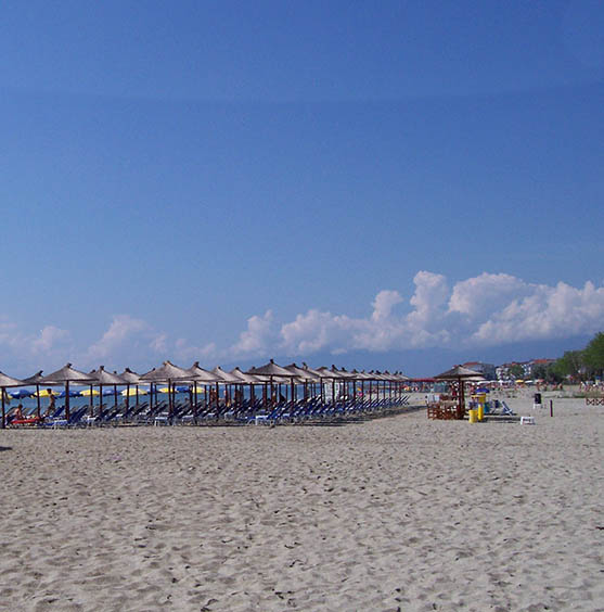 paralia