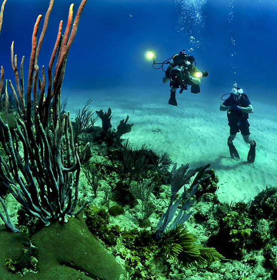 scuba-diving