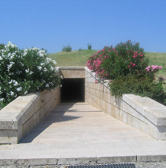 vergina